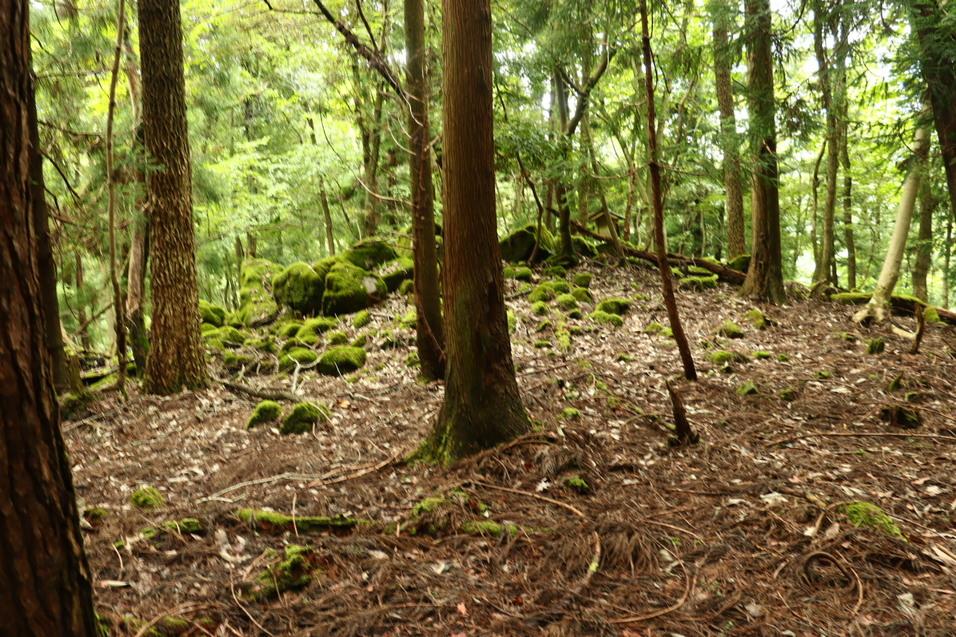 白岩城