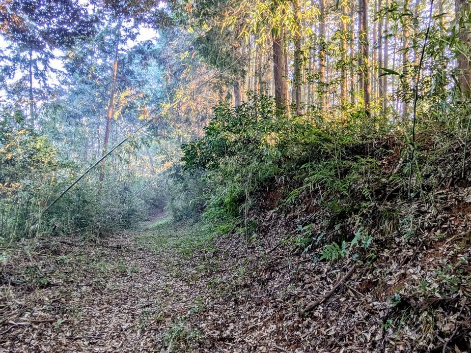 馬ヶ岳城