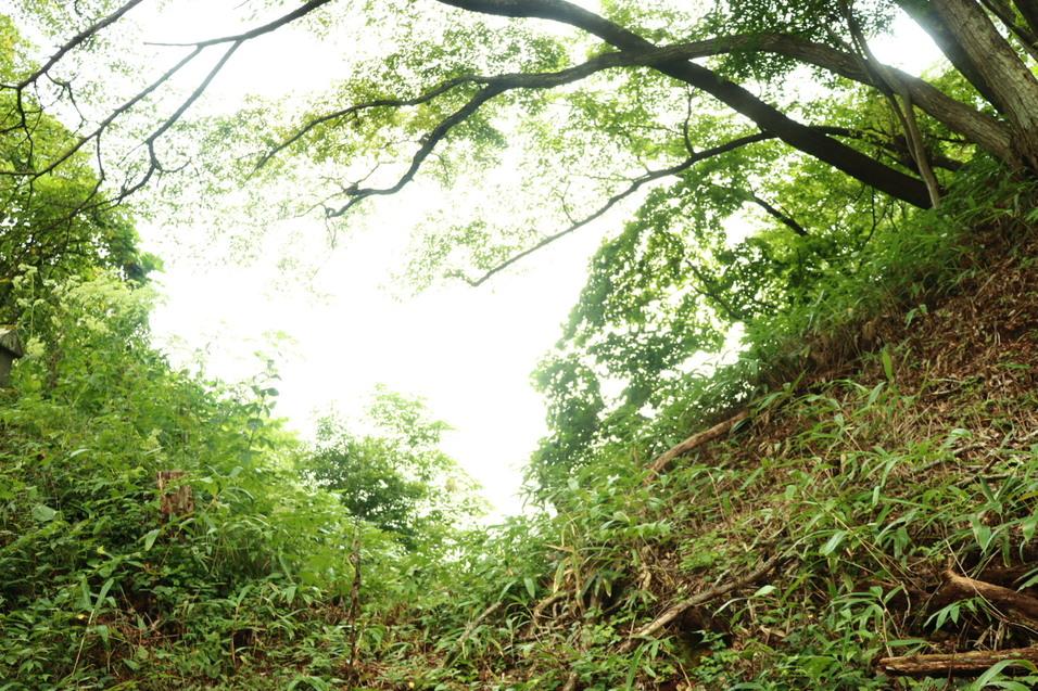 葛山城