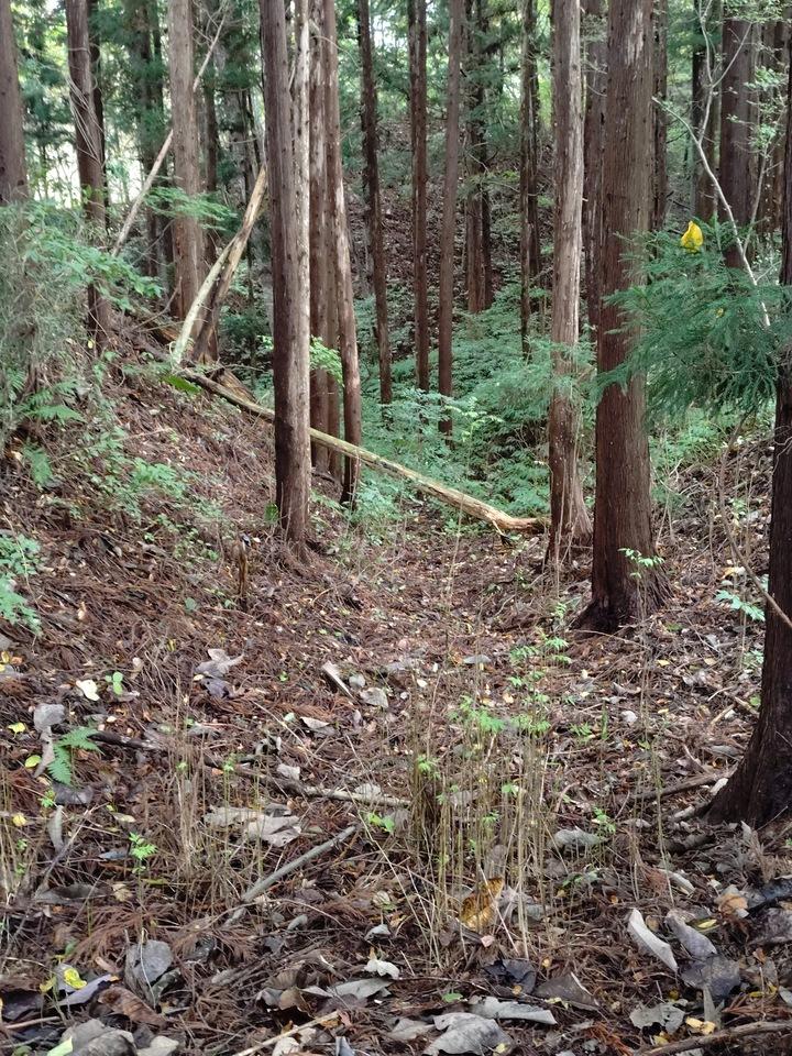 日戸館