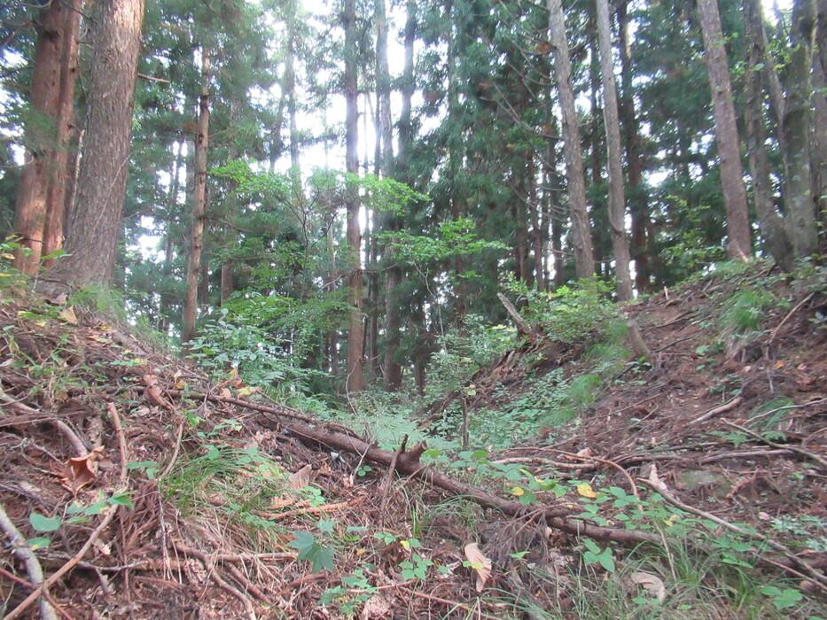 割ヶ嶽城