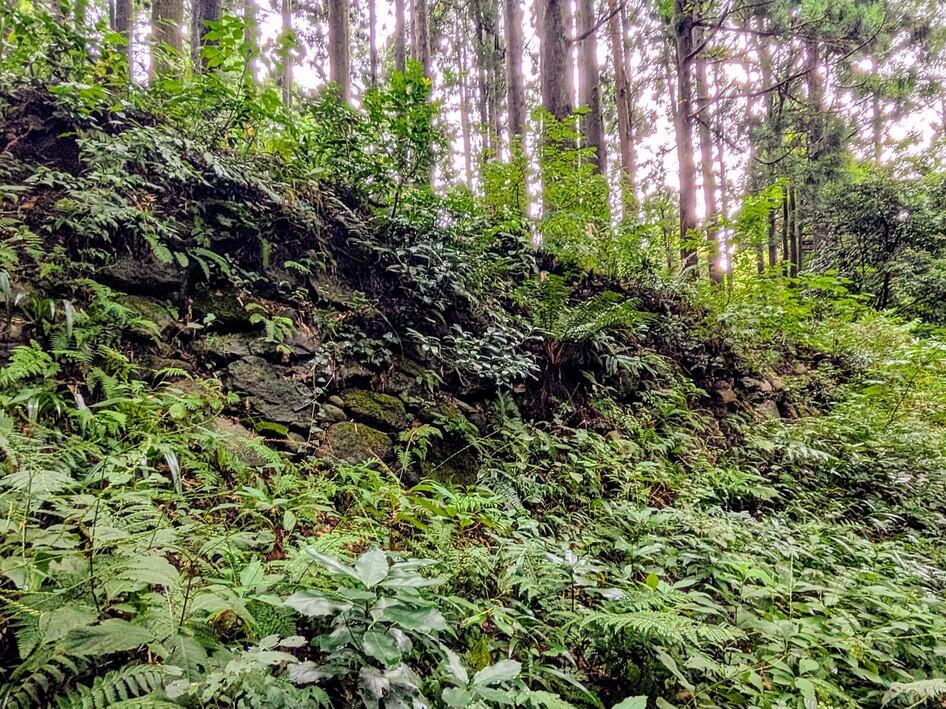 舟岡山城