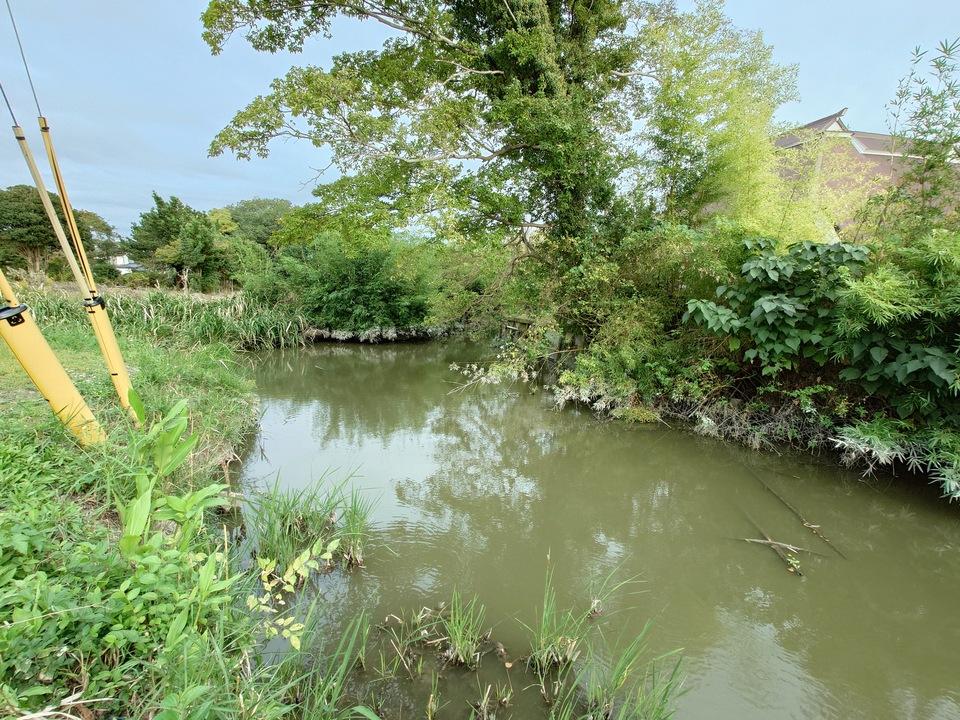 鹿江城