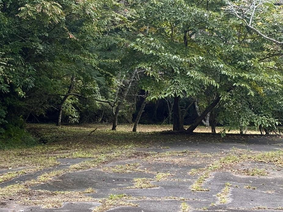 多良崎城