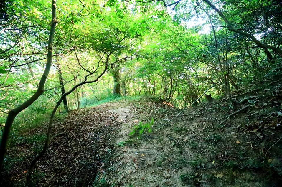 雨滝城