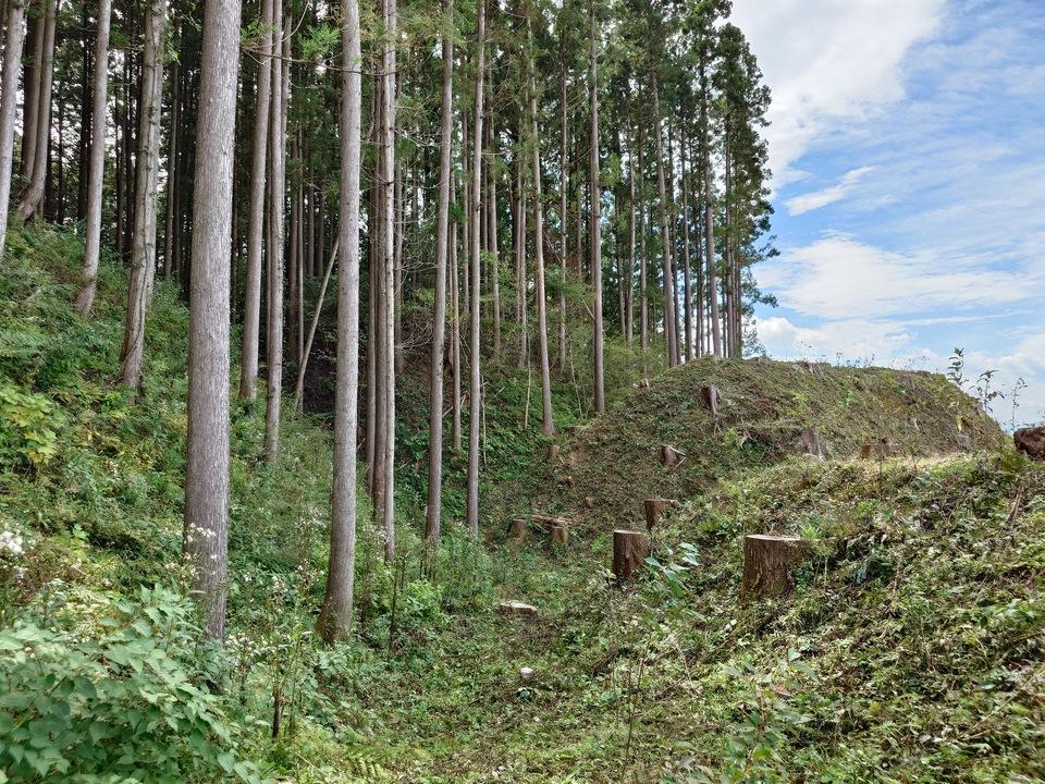 伊王野城