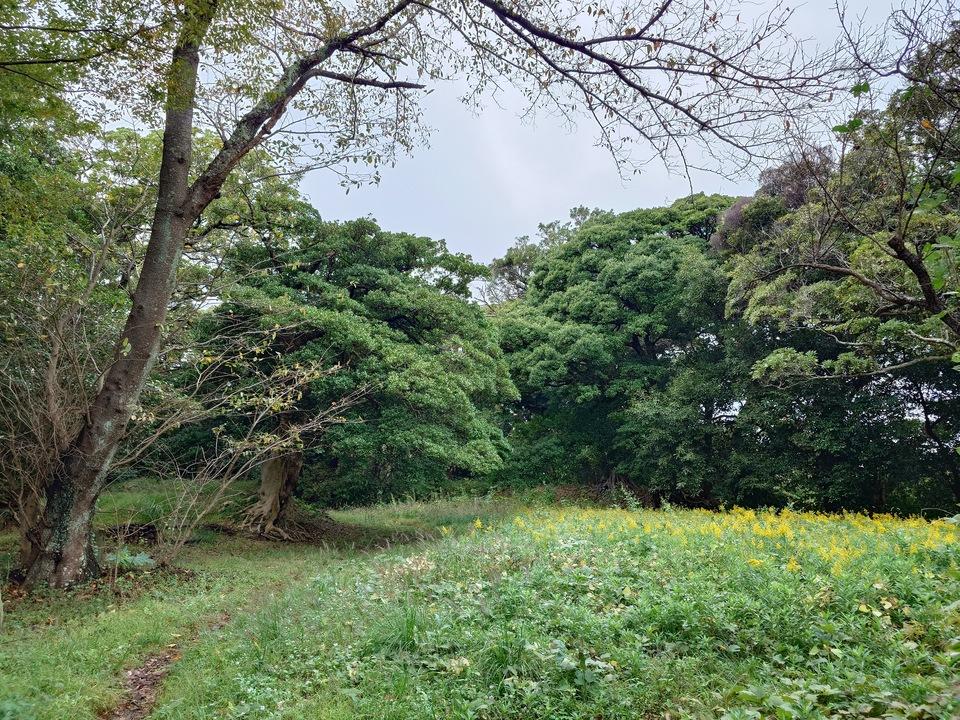 青ヶ台城