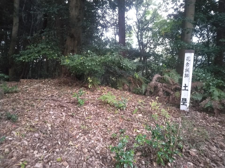 花倉城