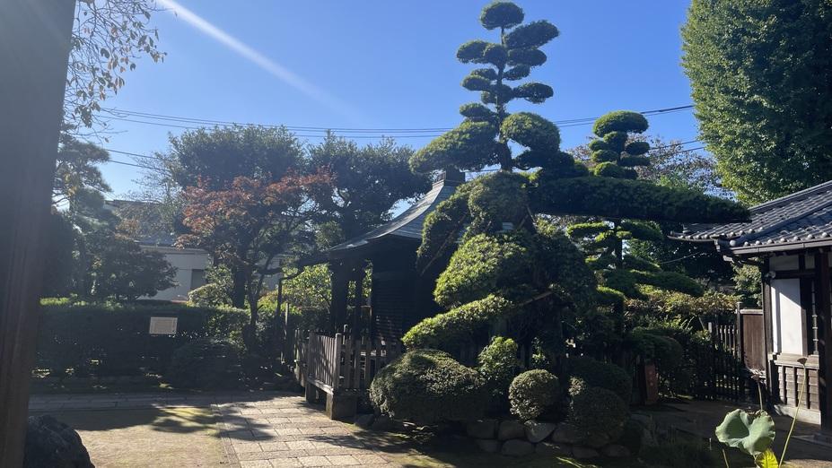 稲付城