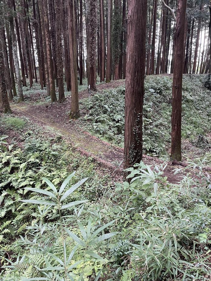南酒出城