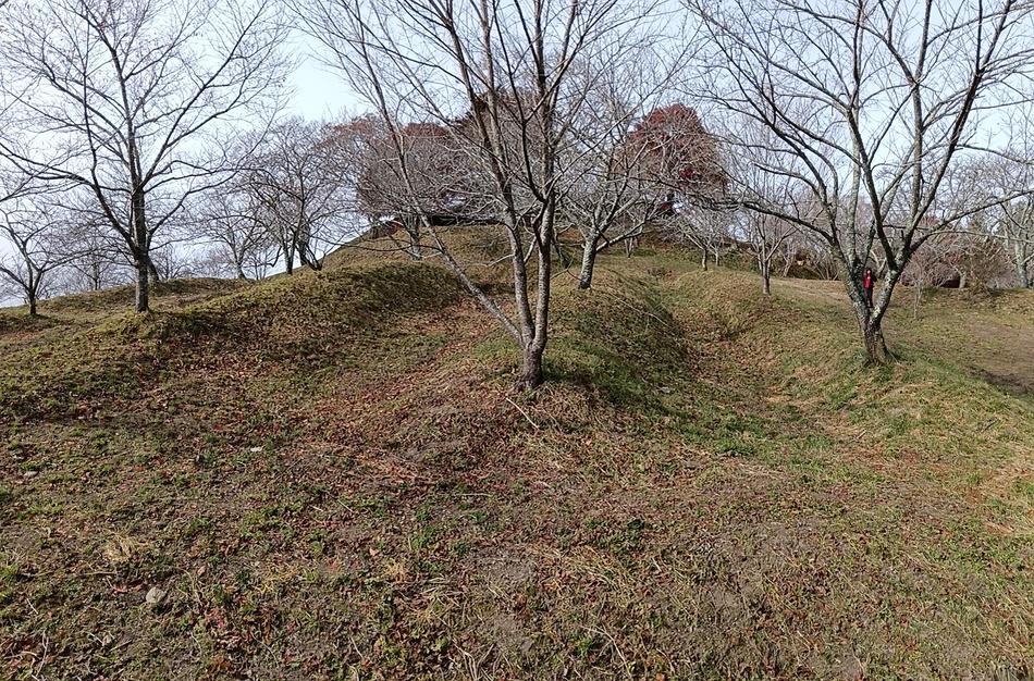 鶴丸城