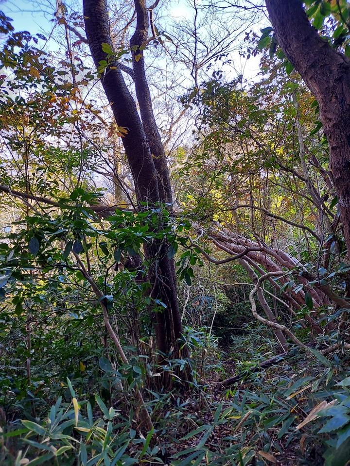 難台山城