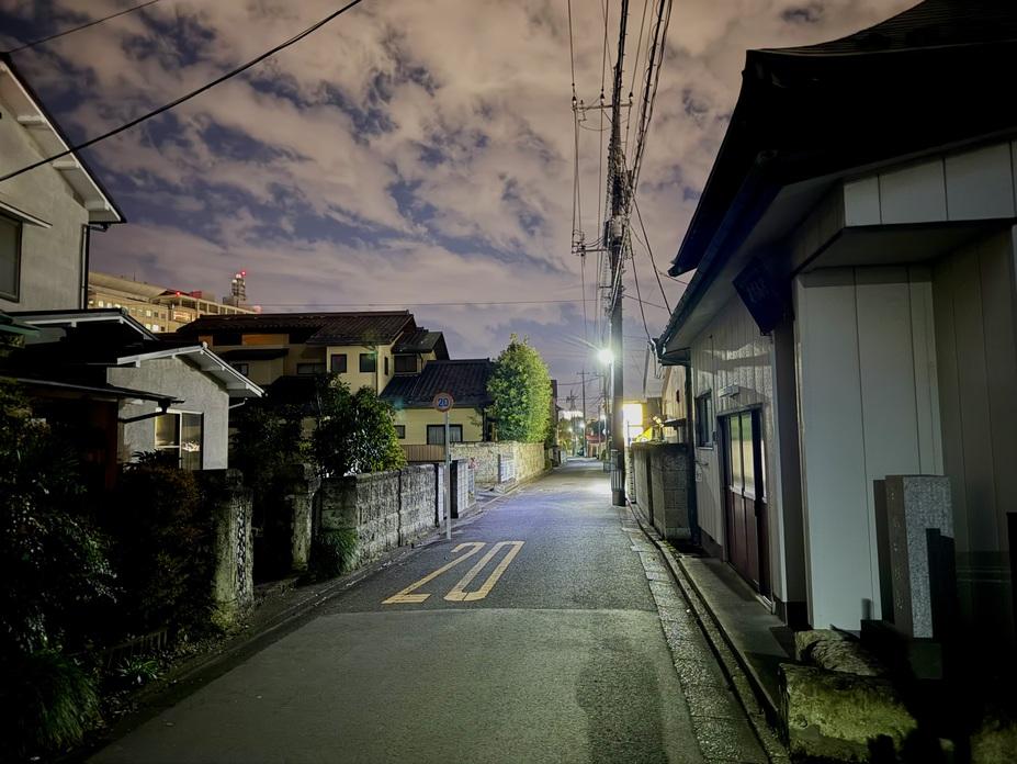 戸祭城