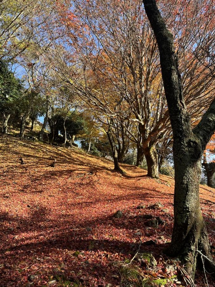 若桜鬼ヶ城