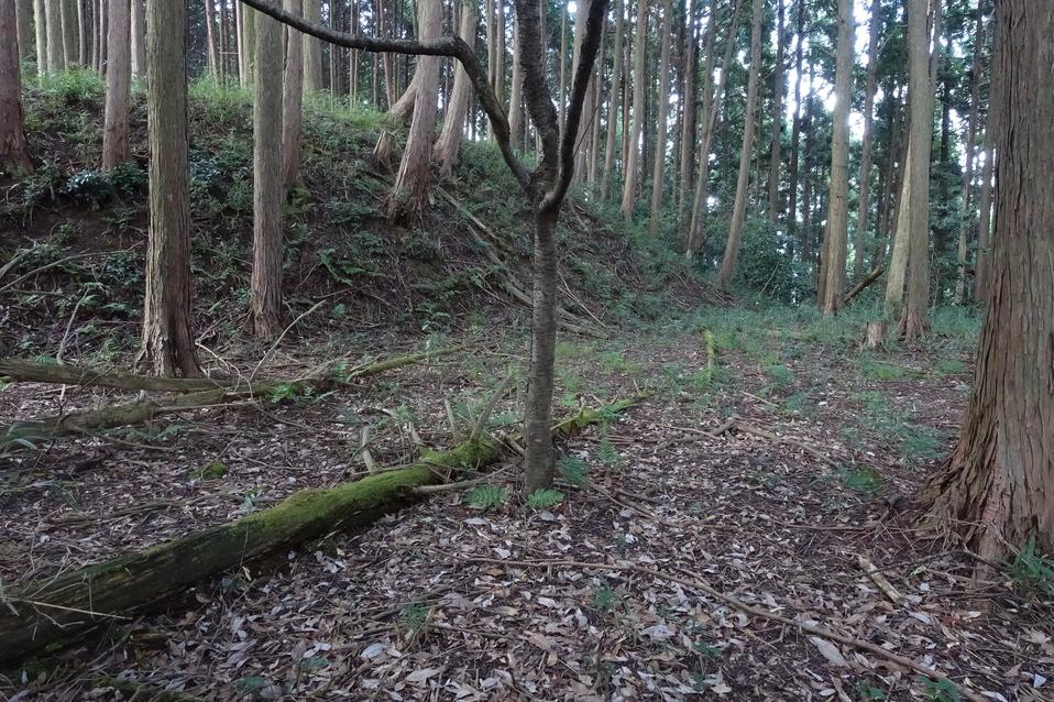 唐櫃城