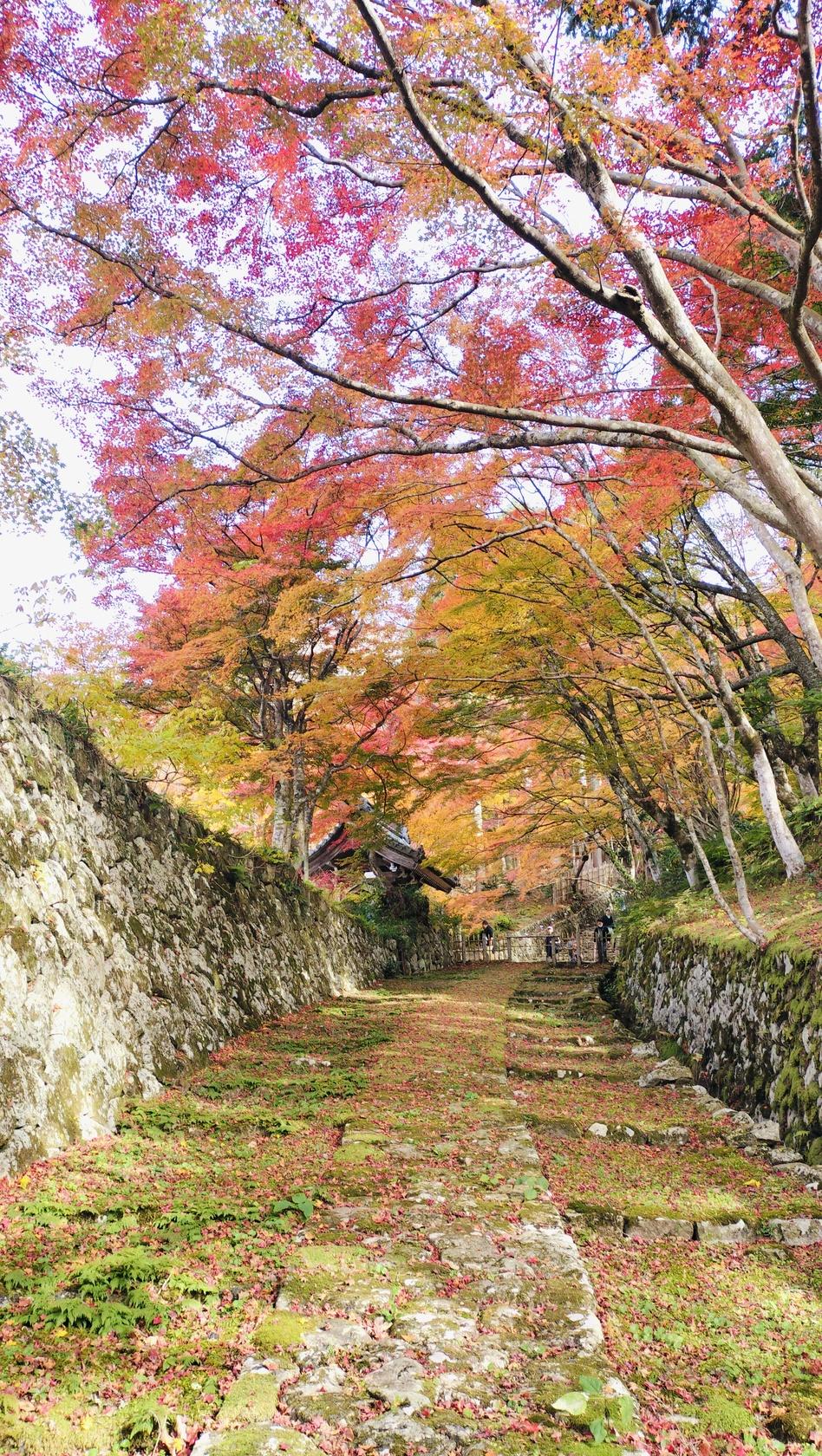 百済寺