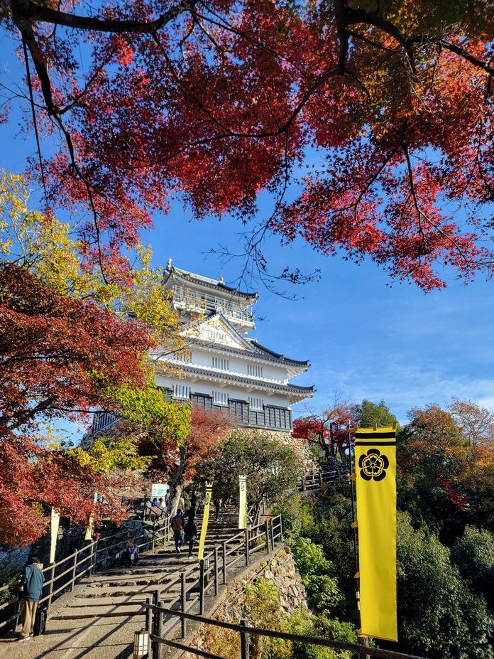 岐阜城