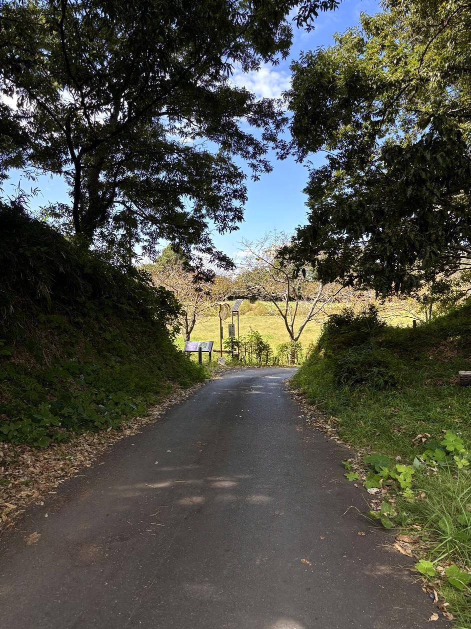 木原城