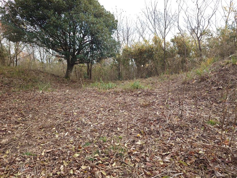 鷹巣城
