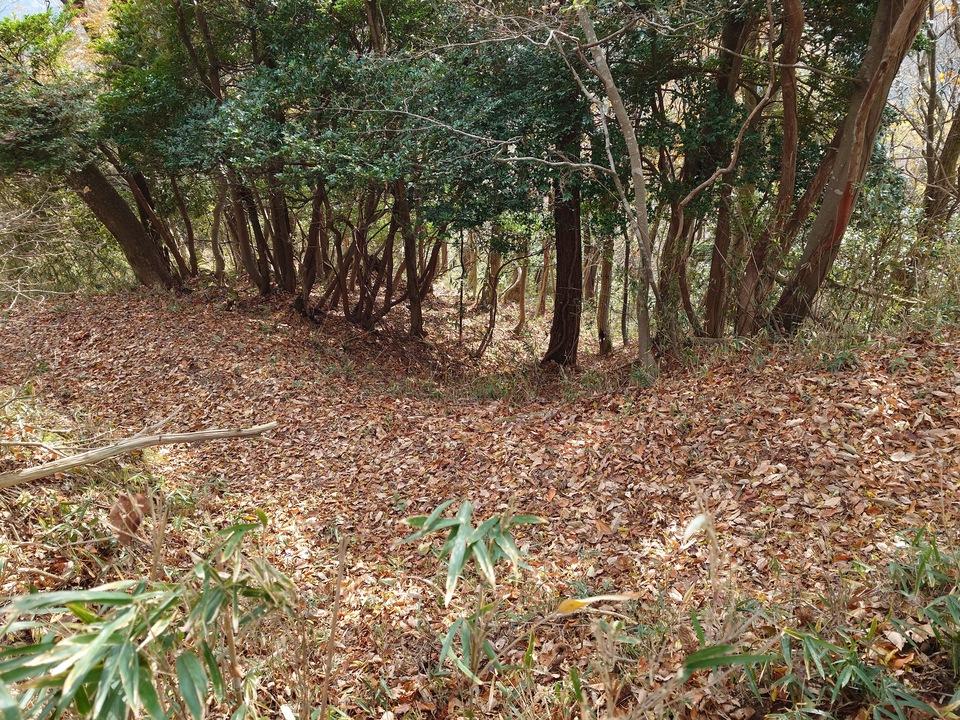 鷹巣城