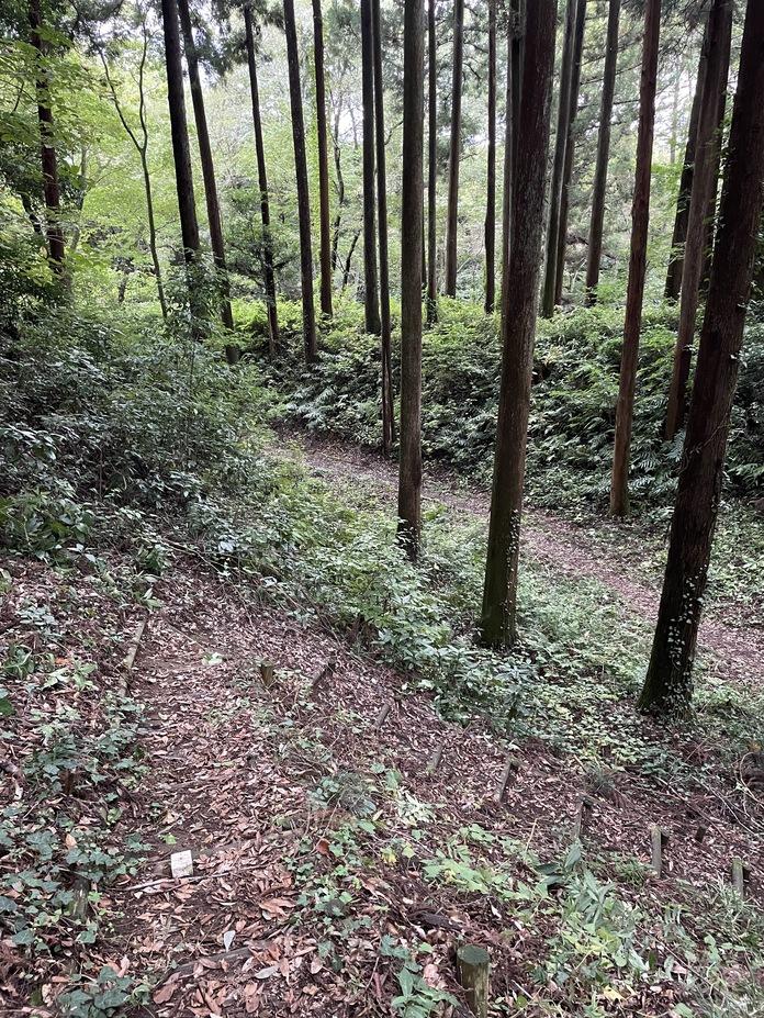 額田城