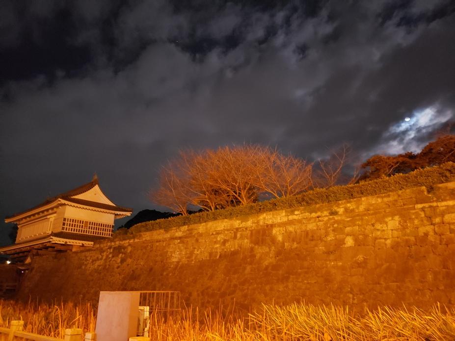 鹿児島城