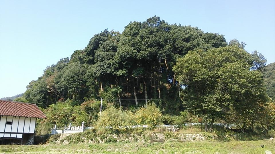 仁後城