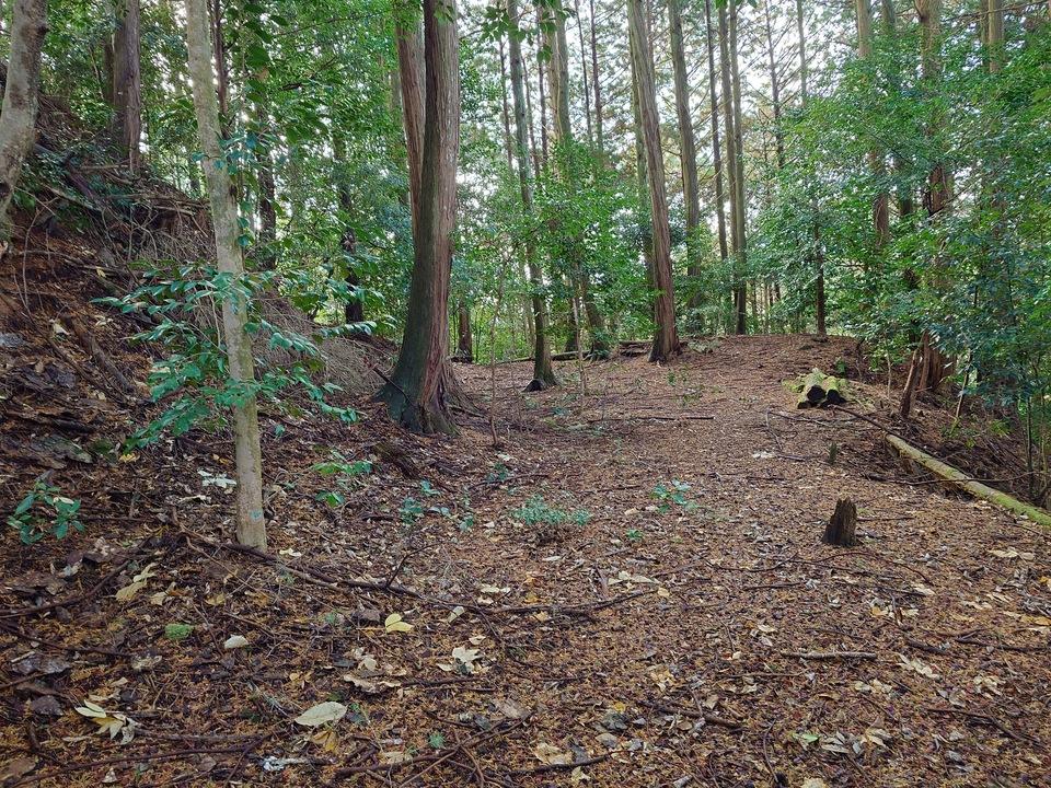 丸山城