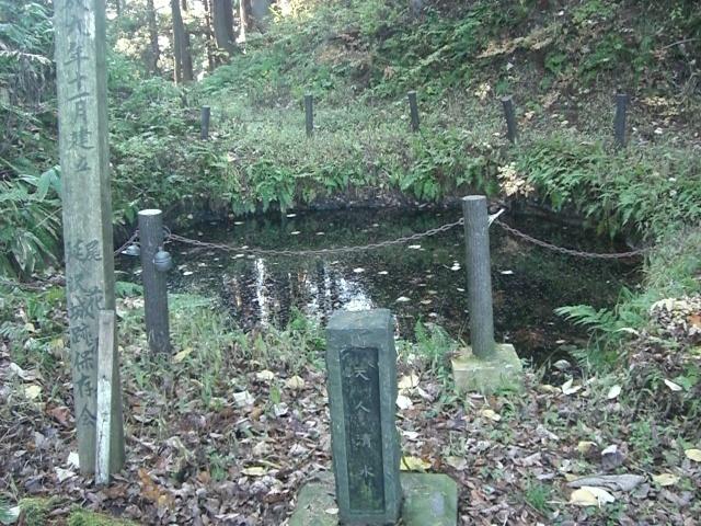 延沢城
