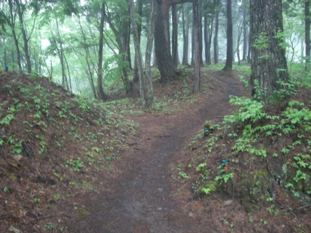 畑谷城