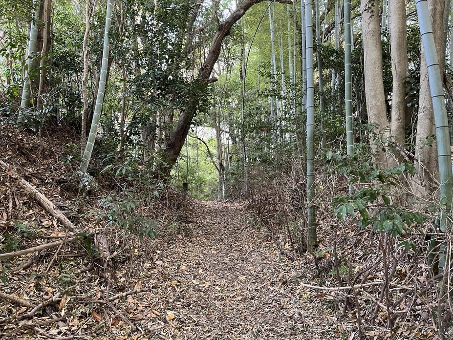 上津部田城