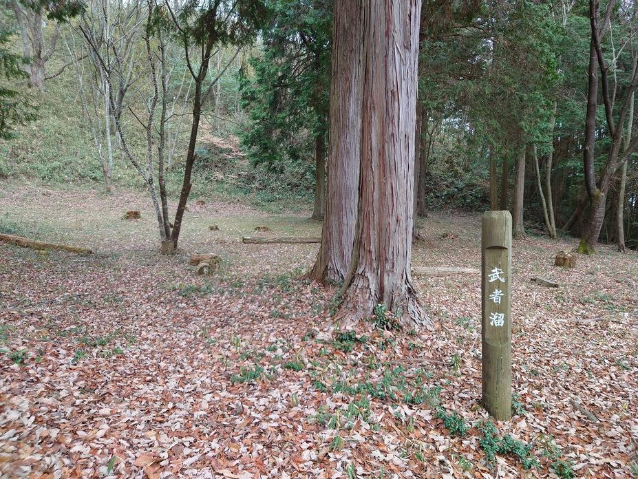 神楽尾城