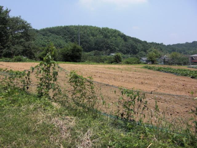 奥平城