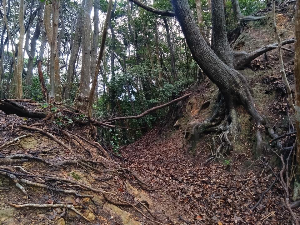 鰐坊山城