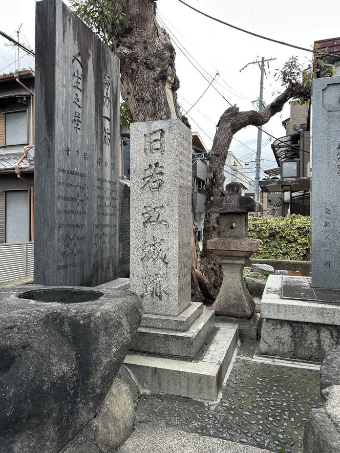 若江城