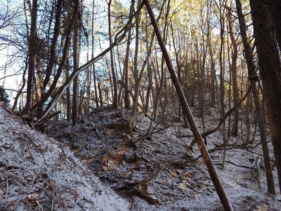 青柳城