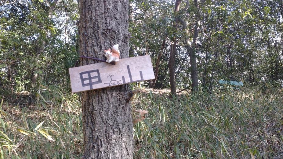 甲山城