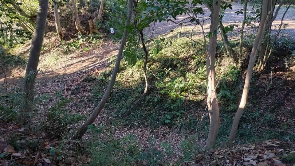 島崎城