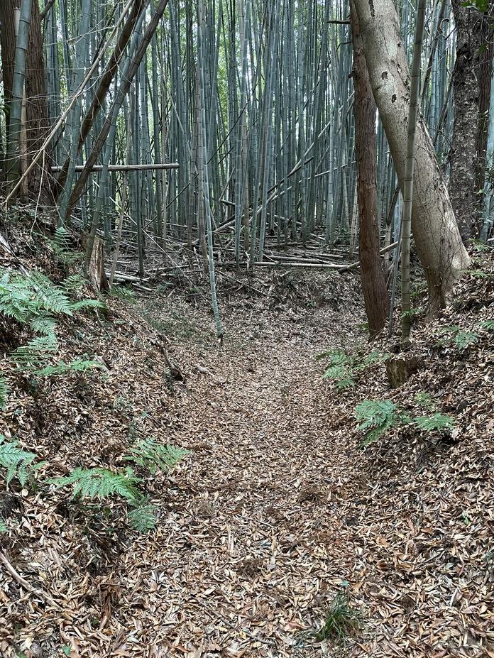 中居城