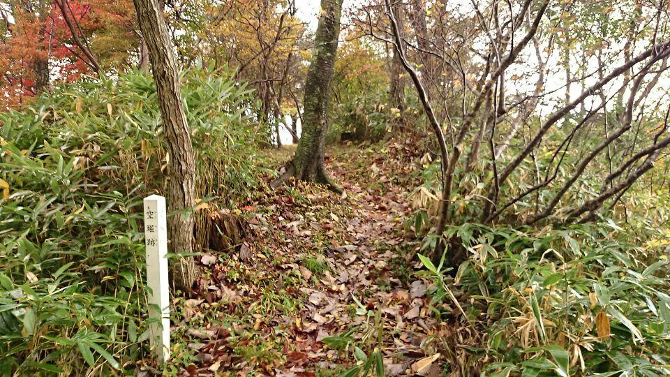 平林城