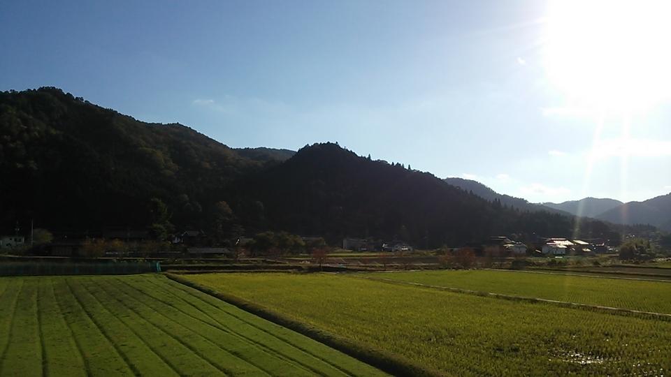 日下津城