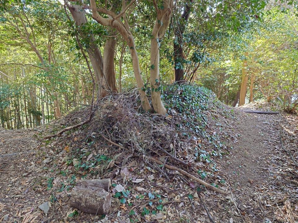 岡城