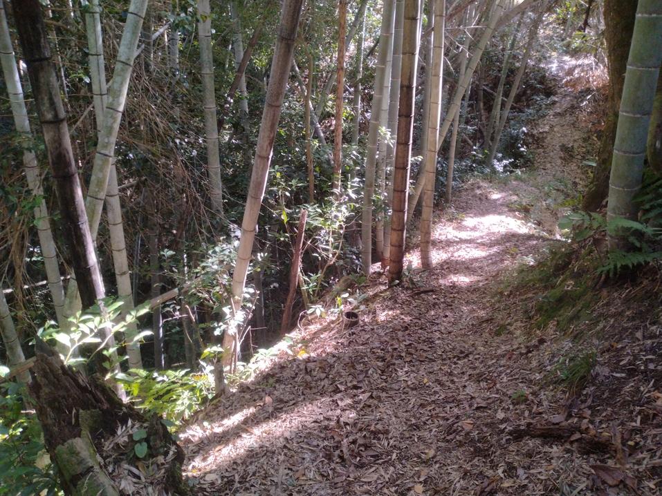 比志島城