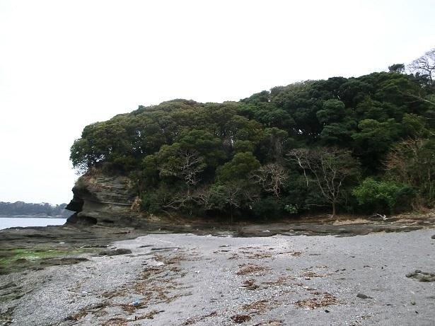 新井城