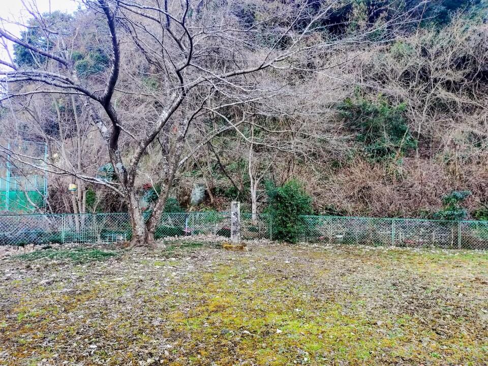 塚崎城