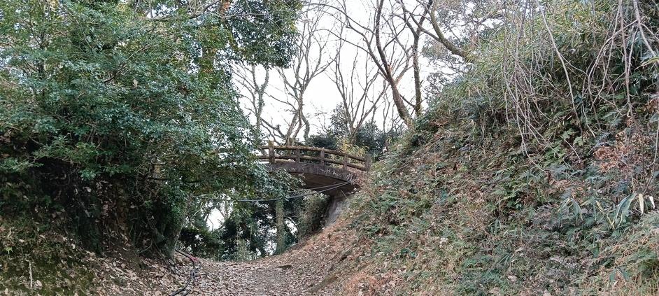 朝日山城