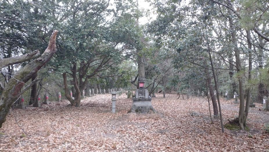 藤目城