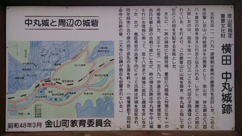 中丸城