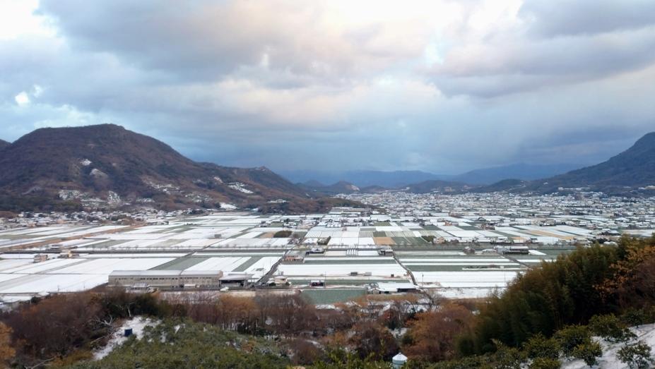 高屋城