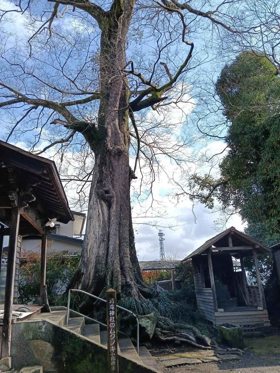 山鹿城